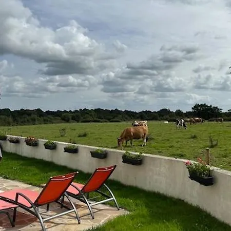 Calme En Campagne Avec Animaux Acceptés, Parking Et Wifi - Fr-1-306-1302 Сasa de vacaciones