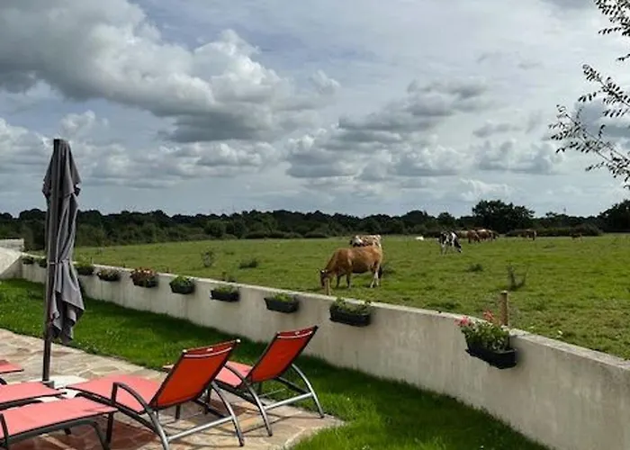 Calme En Campagne Avec Animaux Acceptés, Parking Et Wifi - Fr-1-306-1302 Hébergement de vacances